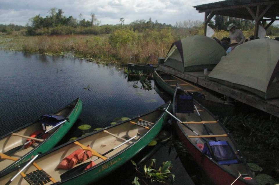 Swamp Camping, with Gators