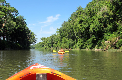 Craws – Harpeth River Outfitters