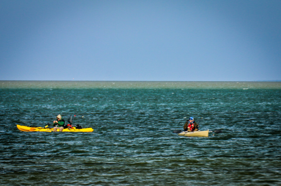 THE OTHER SIDE OF SOUTH PADRE ISLAND: 5 Activities That Are Perfect for  Nature Lovers