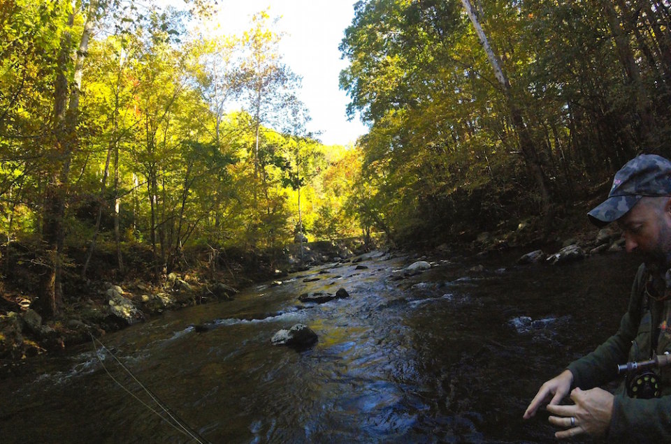 Learning to Fly-Fish in Gatlinburg, Tennessee